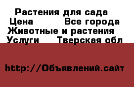 Растения для сада › Цена ­ 200 - Все города Животные и растения » Услуги   . Тверская обл.